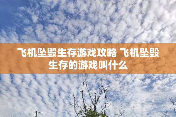 飞机坠毁生存游戏攻略 飞机坠毁生存的游戏叫什么