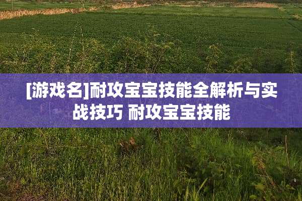 [游戏名]耐攻宝宝技能全解析与实战技巧 耐攻宝宝技能