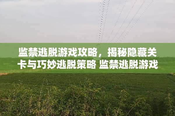 监禁逃脱游戏攻略，揭秘隐藏关卡与巧妙逃脱策略 监禁逃脱游戏攻略