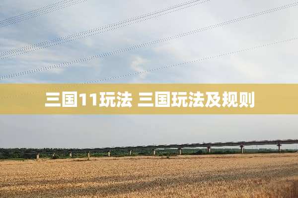 三国11玩法 三国玩法及规则