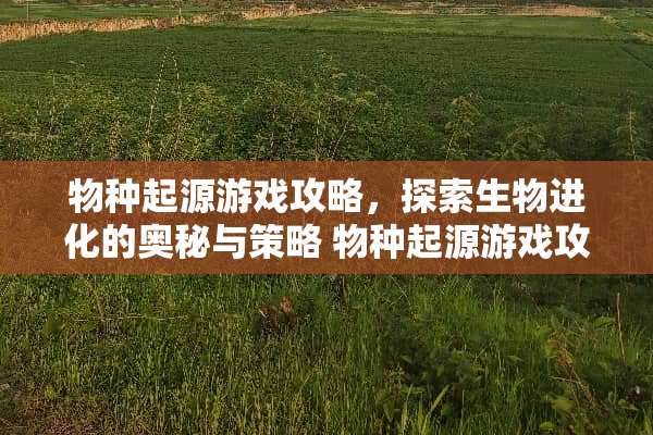 物种起源游戏攻略，探索生物进化的奥秘与策略 物种起源游戏攻略