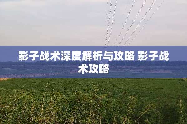 影子战术深度解析与攻略 影子战术攻略
