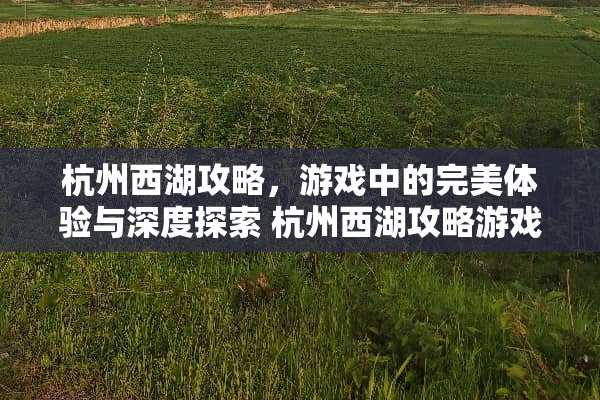 杭州西湖攻略，游戏中的完美体验与深度探索 杭州西湖攻略游戏