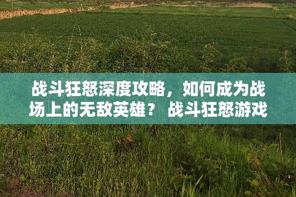 战斗狂怒深度攻略，如何成为战场上的无敌英雄？ 战斗狂怒游戏攻略