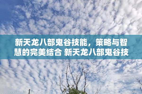 新天龙八部鬼谷技能，策略与智慧的完美结合 新天龙八部鬼谷技能