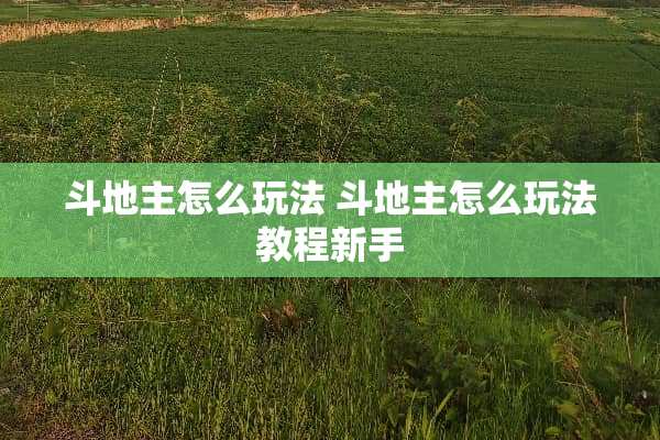 ***怎么玩法***怎么玩法教程新手