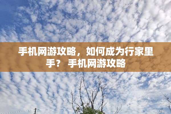 手机网游攻略，如何成为行家里手？ 手机网游攻略