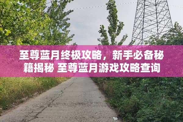至尊蓝月终极攻略，新手必备秘籍揭秘 至尊蓝月游戏攻略查询