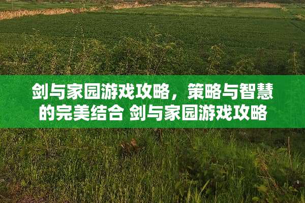剑与家园游戏攻略，策略与智慧的完美结合 剑与家园游戏攻略