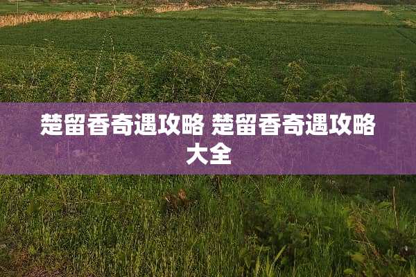 楚留香奇遇攻略 楚留香奇遇攻略大全