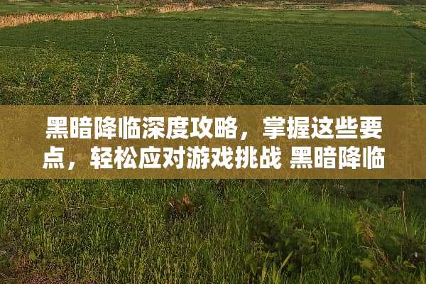 黑暗降临深度攻略，掌握这些要点，轻松应对游戏挑战 黑暗降临攻略