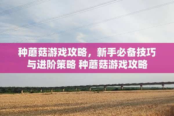 种蘑菇游戏攻略，新手必备技巧与进阶策略 种蘑菇游戏攻略