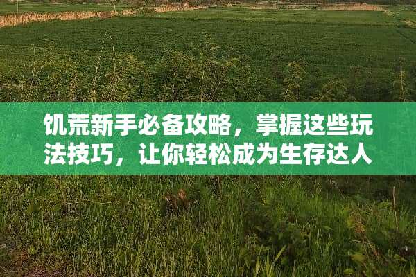 饥荒新手必备攻略，掌握这些玩法技巧，让你轻松成为生存达人！ 饥荒玩法教学