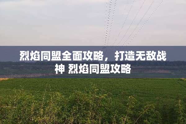 烈焰同盟全面攻略，打造无敌战神 烈焰同盟攻略