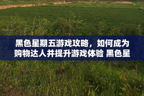 黑色星期五游戏攻略，如何成为购物达人并提升游戏体验 黑色星期五游戏玩法