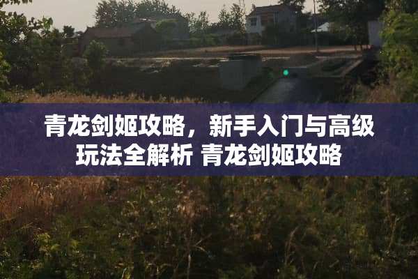 青龙剑姬攻略，新手入门与高级玩法全解析 青龙剑姬攻略