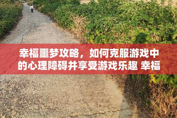 幸福噩梦攻略，如何克服游戏中的心理障碍并享受游戏乐趣 幸福噩梦攻略