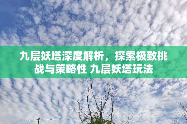 九层妖塔深度解析，探索极致挑战与策略性 九层妖塔玩法