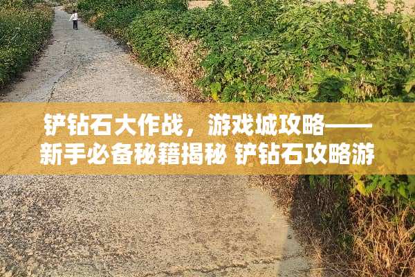 铲钻石大作战，游戏城攻略——新手必备秘籍揭秘 铲钻石攻略游戏城