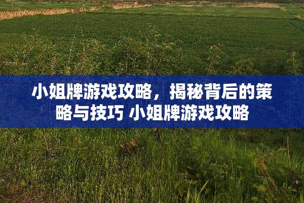 小姐牌游戏攻略，揭秘背后的策略与技巧 小姐牌游戏攻略