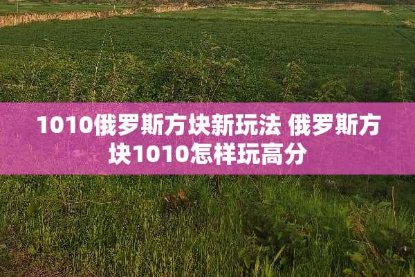 1010俄罗斯方块新玩法 俄罗斯方块1010怎样玩高分