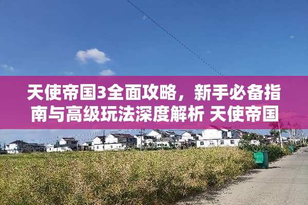 天使帝国3全面攻略，新手必备指南与高级玩法深度解析 天使帝国3攻略