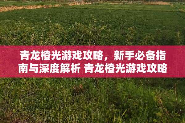 青龙橙光游戏攻略，新手必备指南与深度解析 青龙橙光游戏攻略