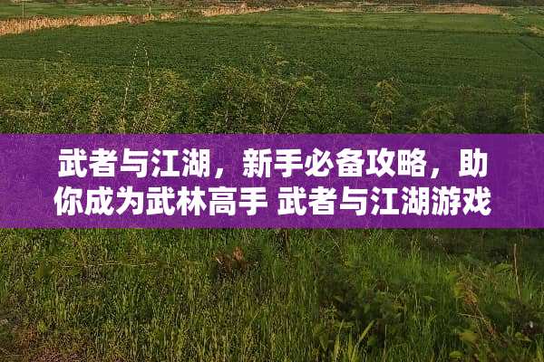 武者与江湖，新手必备攻略，助你成为武林高手 武者与江湖游戏攻略