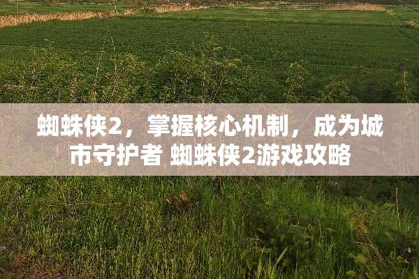 蜘蛛侠2，掌握核心机制，成为城市守护者 蜘蛛侠2游戏攻略