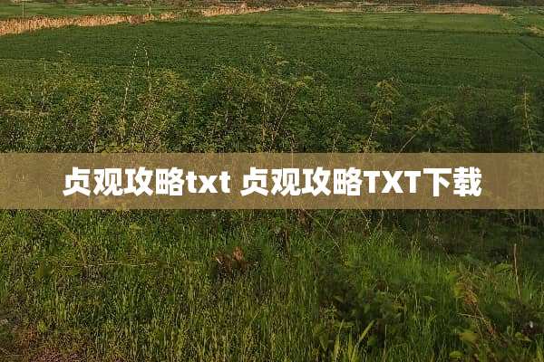 贞观攻略txt 贞观攻略TXT下载