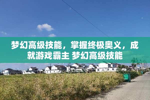 梦幻高级技能，掌握终极奥义，成就游戏霸主 梦幻高级技能