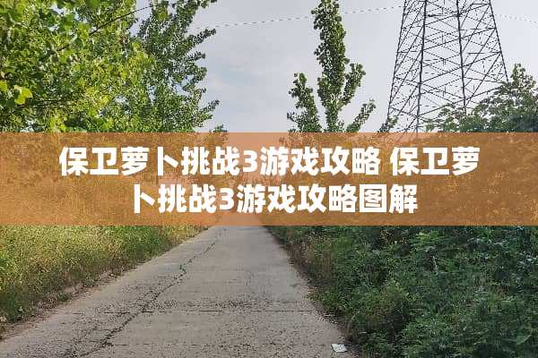 保卫萝卜挑战3游戏攻略 保卫萝卜挑战3游戏攻略图解