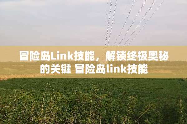 冒险岛Link技能，解锁终极奥秘的关键 冒险岛link技能