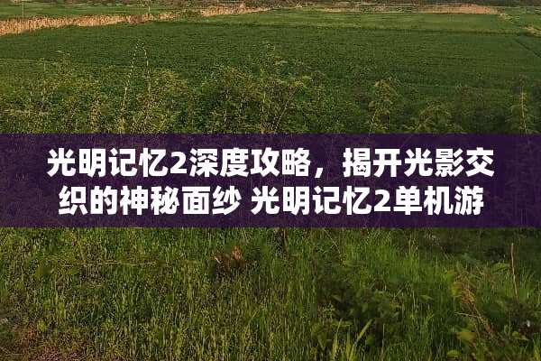 光明记忆2深度攻略，揭开光影交织的神秘面纱 光明记忆2单机游戏攻略