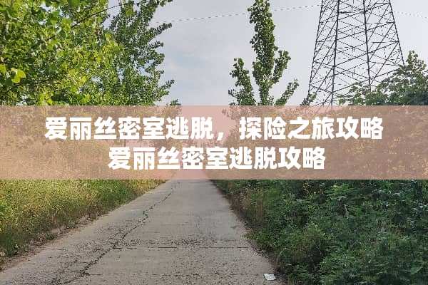 爱丽丝密室逃脱，探险之旅攻略 爱丽丝密室逃脱攻略