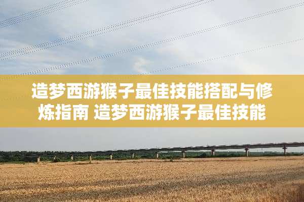造梦西游猴子最佳技能搭配与**指南 造梦西游猴子最佳技能