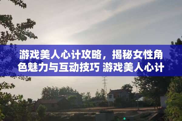 游戏美人心计攻略，揭秘女性角色魅力与互动技巧 游戏美人心计攻略