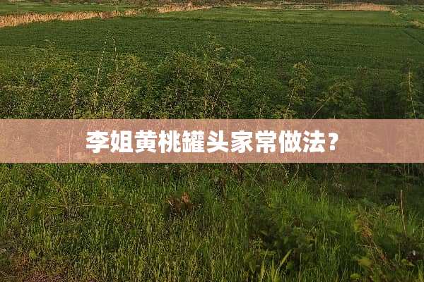 李姐黄桃罐头家常做法？