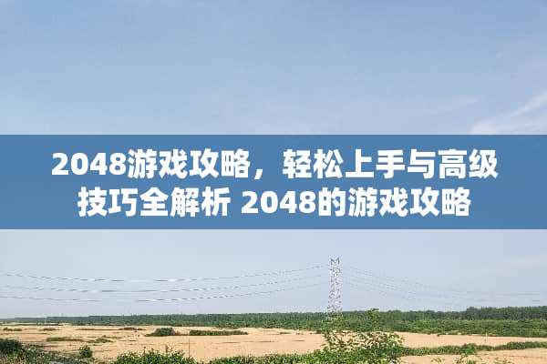 2048游戏攻略，轻松上手与高级技巧全解析 2048的游戏攻略