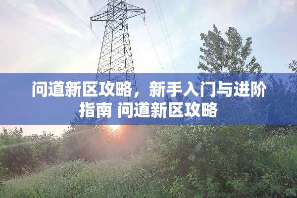 问道新区攻略，新手入门与进阶指南 问道新区攻略