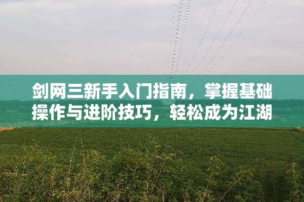 剑网三新手入门指南，掌握基础操作与进阶技巧，轻松成为江湖高手 剑三新手攻略