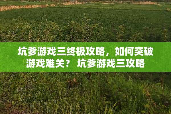 坑爹游戏三终极攻略，如何突破游戏难关？ 坑爹游戏三攻略