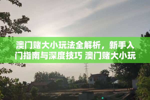 **赌大小玩法全解析，新手入门指南与深度技巧**赌大小玩法