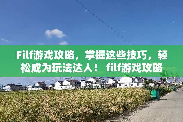 Filf游戏攻略，掌握这些技巧，轻松成为玩法达人！ filf游戏攻略