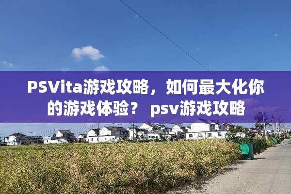 PSVita游戏攻略，如何最大化你的游戏体验？ psv游戏攻略