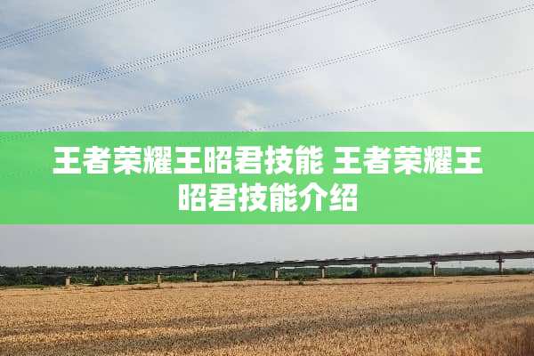 王者荣耀王昭君技能 王者荣耀王昭君技能介绍