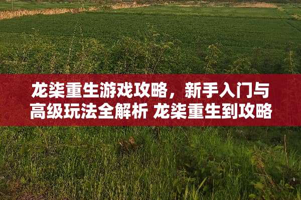 龙柒重生游戏攻略，新手入门与高级玩法全解析 龙柒重生到攻略游戏