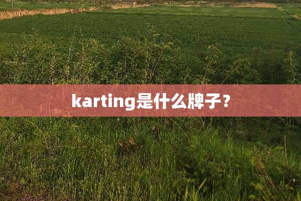 karting是什么牌子？