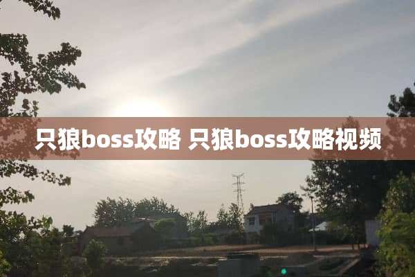 只狼boss攻略 只狼boss攻略视频