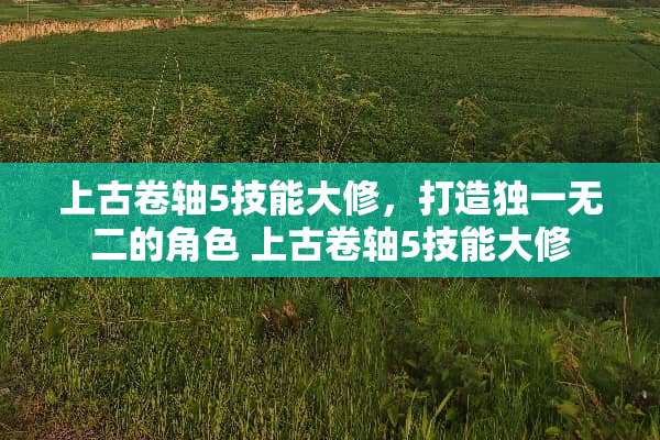 上古卷轴5技能大修，打造独一无二的角色 上古卷轴5技能大修